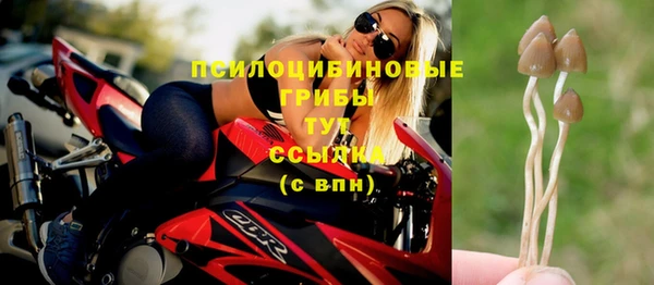 гашик Надым